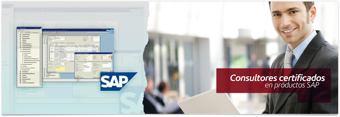 Consultores certificados en productos SAP
